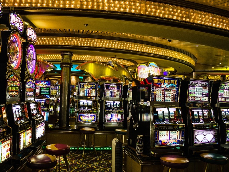 Lucky Jungle casino
